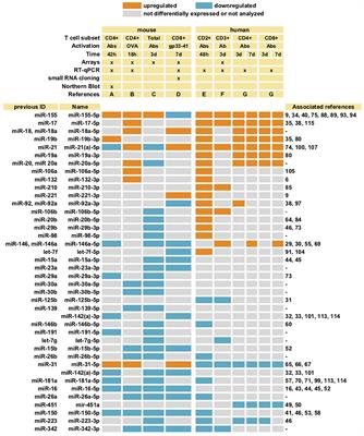 Control of Immunoregulatory Molecules by miRNAs in T Cell Activation